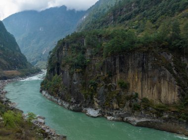 Tibet, Çin 'deki güzel orman manzarası.