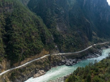 Tibet, Çin 'deki güzel orman manzarası.