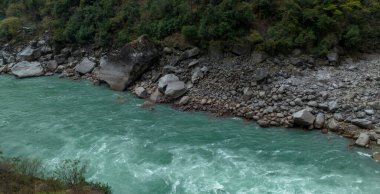 Tibet, Çin 'deki güzel orman manzarası.