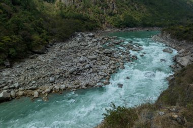 Tibet, Çin 'deki güzel orman manzarası.