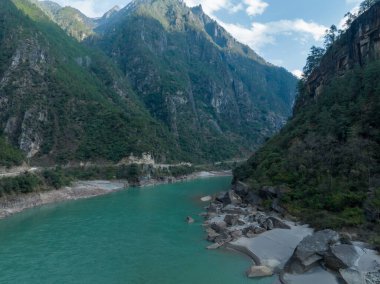 Tibet, Çin 'deki güzel orman manzarası.
