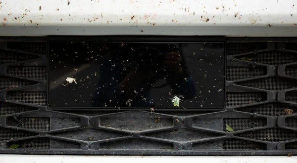 Bugs Vliegen Neergestort Vast Grille Van Auto Radiator — Stockfoto