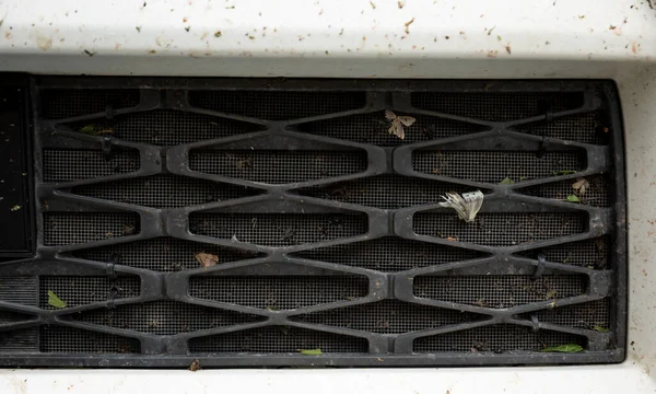 Bugs Flies Crashed Stuck Grille Car Radiator — Stock Photo, Image