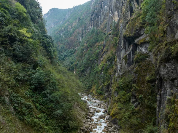 Veduta Aerea Bellissimo Paesaggio Montagna Foresta Tibet Cina — Foto Stock