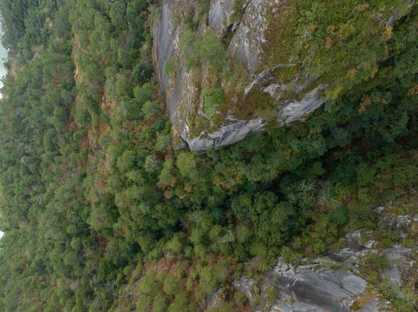 Prachtig Uitzicht Het Bos Bergen — Stockfoto