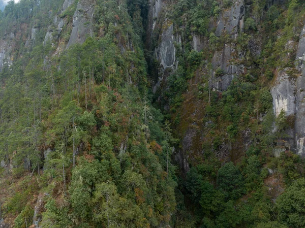 中国提贝美丽的森林山景空中景观 — 图库照片