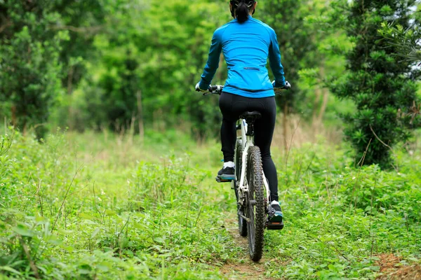Bahar Ormanlarında Bisiklet Sürmek — Stok fotoğraf