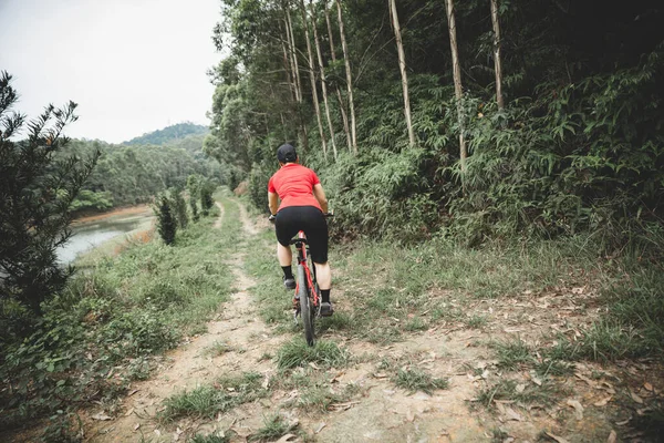 Vélo Équitation Dans Forêt Printanière — Photo