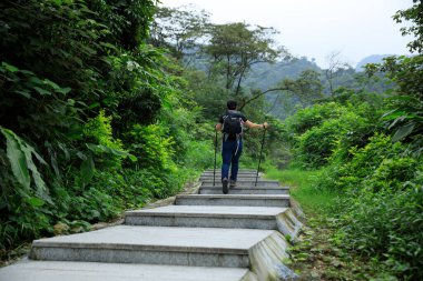 Bahar ormanında yürüyüş yapan bir kadın.