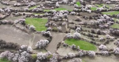 Dağlarda güzel ağaçlar olan gökyüzü manzarası