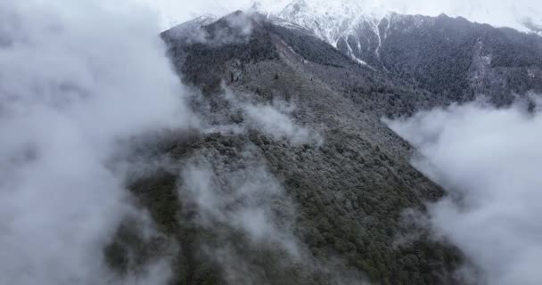 Piękny Krajobraz Zaśnieżonych Gór — Wideo stockowe