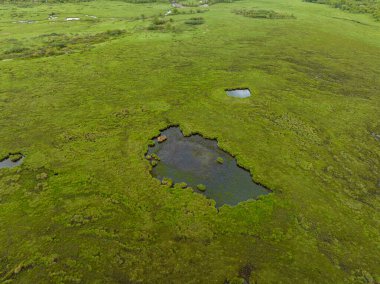 Güzel yüksek irtifa manzarası otlaklar ve çiçekler, Çin