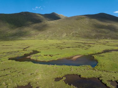 Güzel yüksek irtifa manzarası otlaklar ve çiçekler, Çin