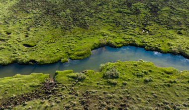 Güzel yüksek irtifa manzarası otlaklar ve çiçekler, Çin