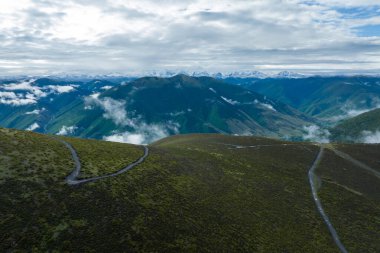 Çin, Sichuan 'da güzel bir gündoğumu orman manzarası.