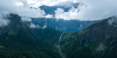 Çin, Sichuan 'daki gündoğumu orman manzarası çok güzel.