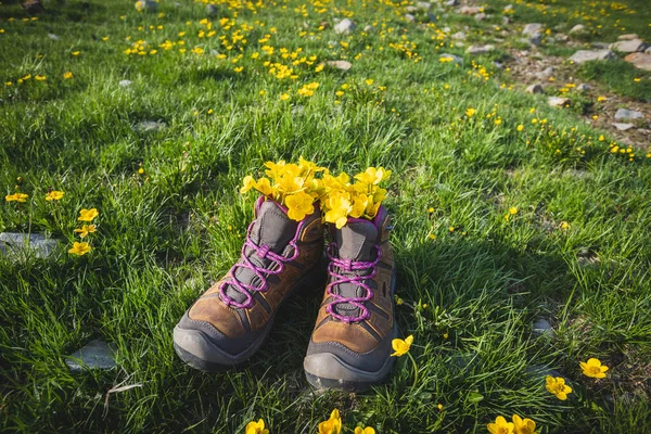 Botas Senderismo Con Flores Silvestres Amarillas Hierba —  Fotos de Stock