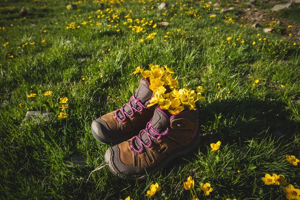 Hiking Boots Yellow Wild Flowers Grass — Stock Photo, Image