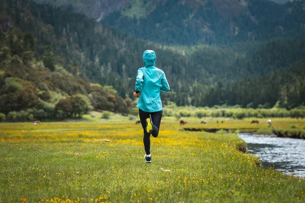 Mujer Trail Runner Cross Country Running Hermosa Naturaleza — Foto de Stock