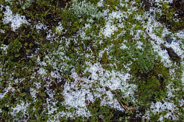 高山草原上的冰雹 — 图库照片