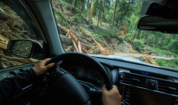 Руки Рулем Автомобиля Лесной Горной Тропе Китай — стоковое фото