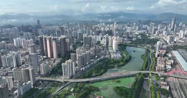 Picturesque View Modern Buildings Shenzhen City — Wideo stockowe