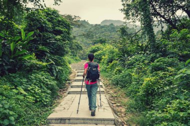Bahar ormanında yürüyüş yapan bir kadın.