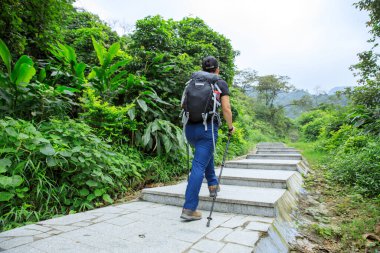 Bahar ormanında yürüyüş yapan bir kadın.