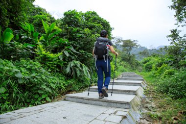 Bahar ormanında yürüyüş yapan bir kadın.