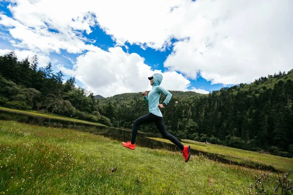 Mujer Trail Runner Cross Country Corriendo Hermosos Pastizales —  Fotos de Stock