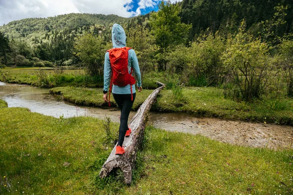Femme Marchant Sur Pont Une Planche Dans Les Montagnes Haute — Photo