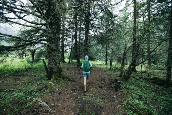 Woman Hiker Hiking Forest — Stock Photo, Image