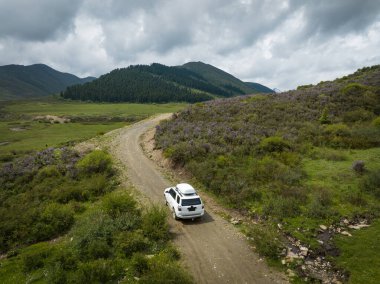 Yüksek rakımlı dağ yolunda araba yolculuğu, Çin