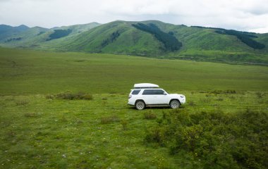 Yüksek irtifada yolculuk güzel otlaklar ve çiçekler, Çin