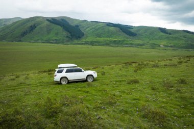 Yüksek irtifada yolculuk güzel otlaklar ve çiçekler, Çin