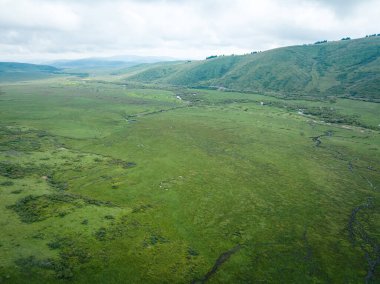 Çin, Sichuan 'daki güzel orman sulak arazisi.