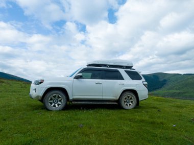 Yüksek irtifada yolculuk güzel otlaklar ve çiçekler, Çin