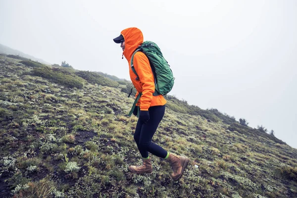 Mujer Senderista Cima Montaña Gran Altitud —  Fotos de Stock