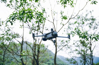 Flying drone in summer forest