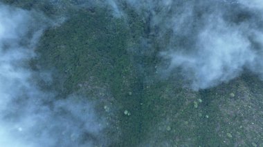 Çin, Sichuan 'daki güzel orman manzarası