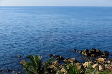 Palmiye yaprakları ve deniz dalgası yüzeyi