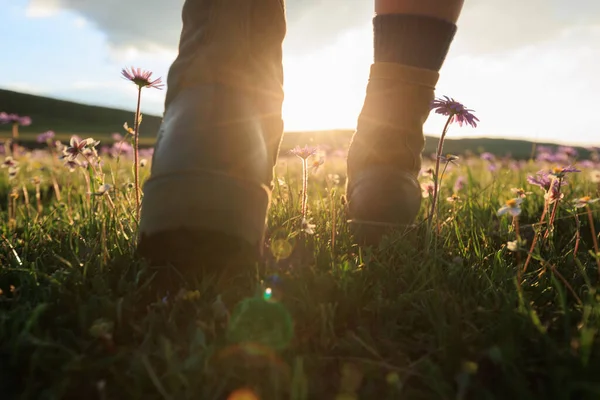 Woman Hiker Legs Walking Beautiful Flowering Grassland — Stock Photo, Image