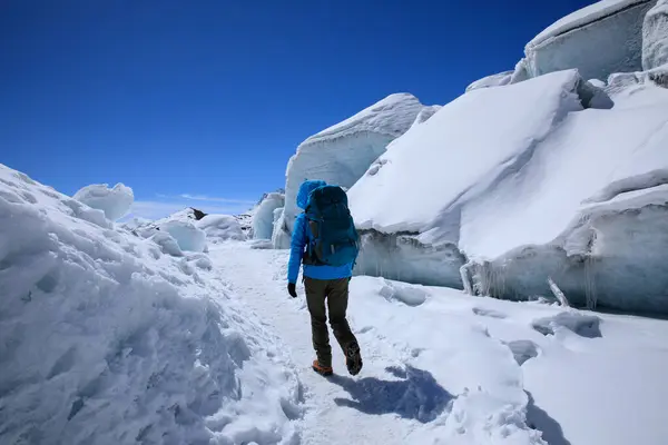Woman Hiker Hiking Winter Huge Glacier Mountain China — Stock Photo, Image