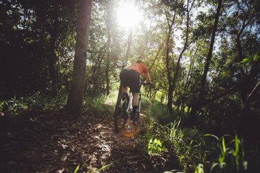 Bahar ormanı patikasında dağ bisikleti