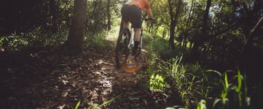 Bahar ormanı patikasında dağ bisikleti