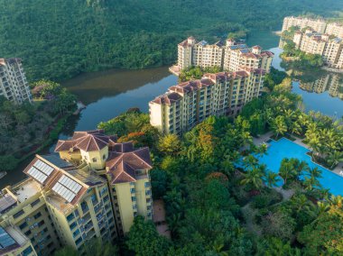 Gün doğumunda hindistan cevizi ağacı tarlasının havadan görünüşü