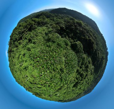 Tropik orman manzarasının havadan görünüşü