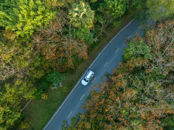 Aerial View Driving Trail Spring Tropical Forest — Stock Photo, Image