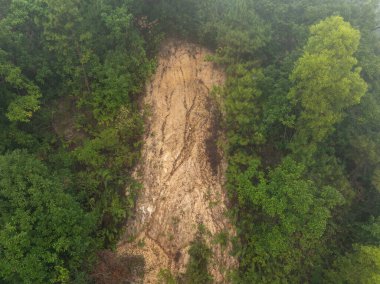 Heyelan Ormanı manzarası