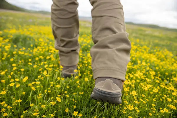 Hiking Flowering High Altitude Grassland — Stock Photo, Image